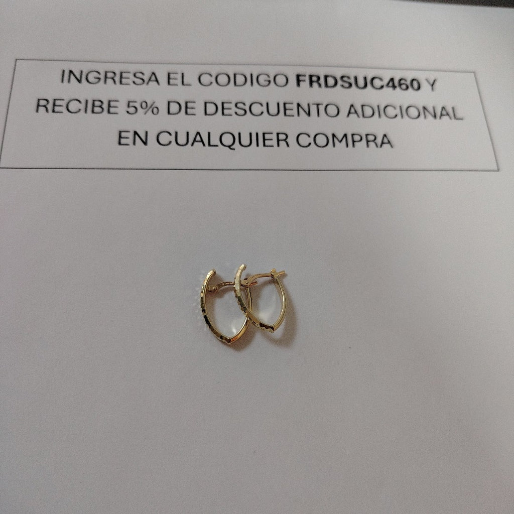 ARRACADAS ORO 10K 1.2 (NUEVO)