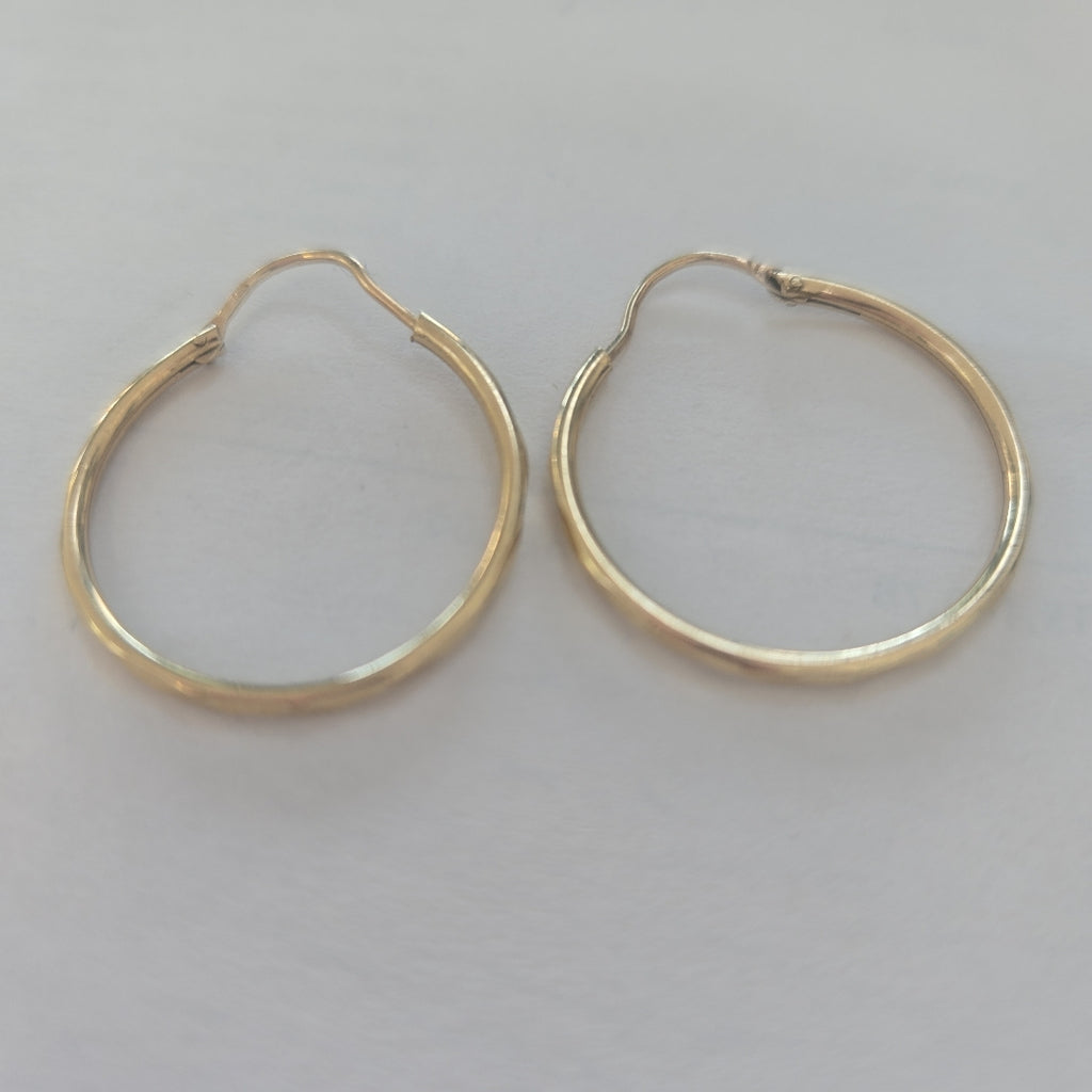 ARRACADAS PAR ORO 10 K 1.6 GRMS (SEMINUEVO)