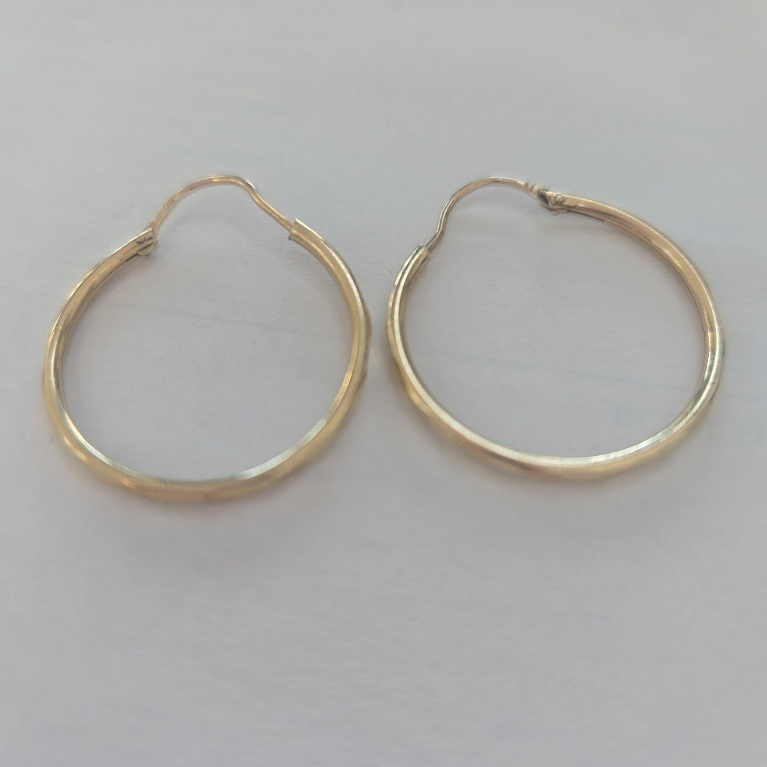 ARRACADAS PAR ORO 10 K 1.6 GRMS (SEMINUEVO)
