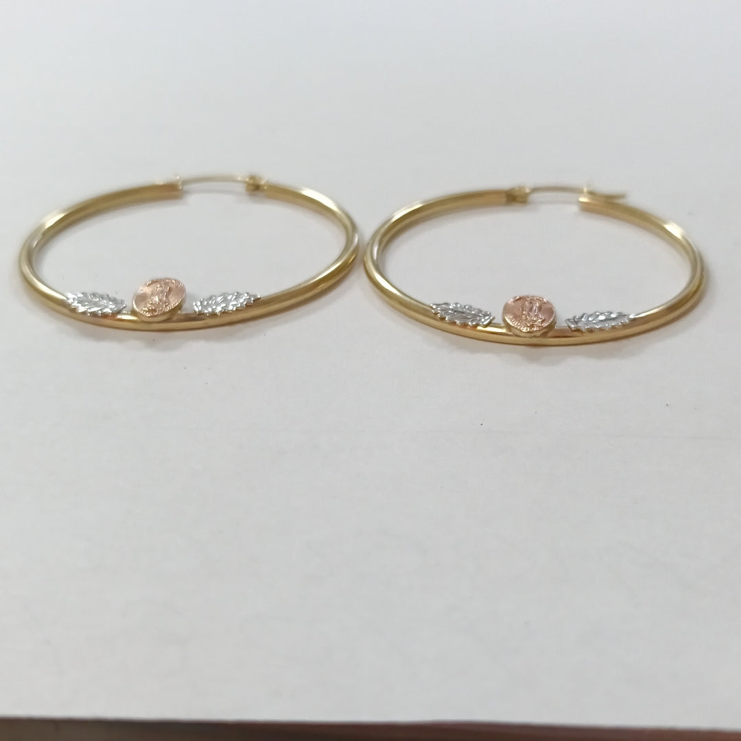 ARRACADAS PAR ORO 14 K 3.1 GRMS (SEMINUEVO)