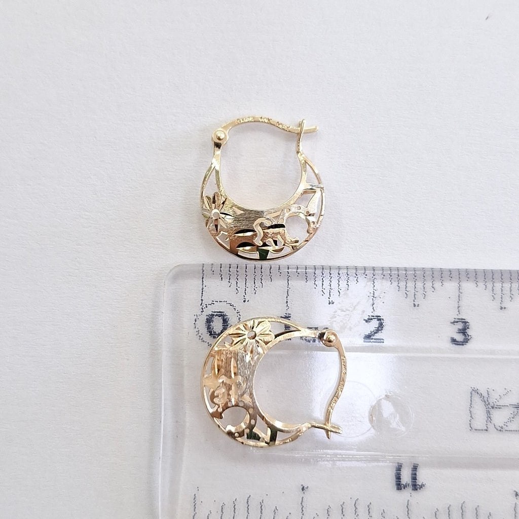 ARETES PAR ORO 10 K 1.1 GRMS (SEMINUEVO)
