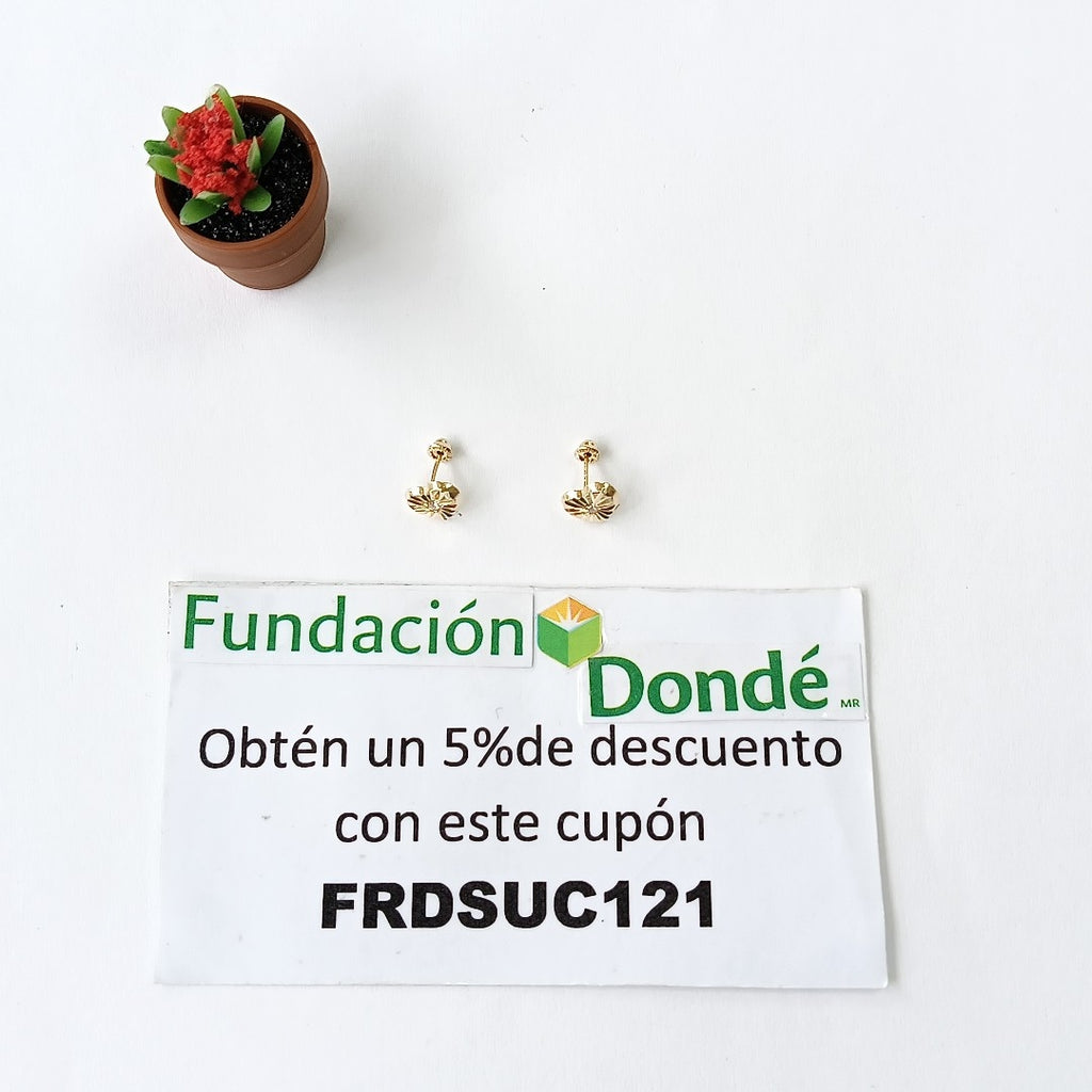 BROQUELES BROQUEL FIG CORAZON C CIRCONIA 14K 0.2603 GR (NUEVO)