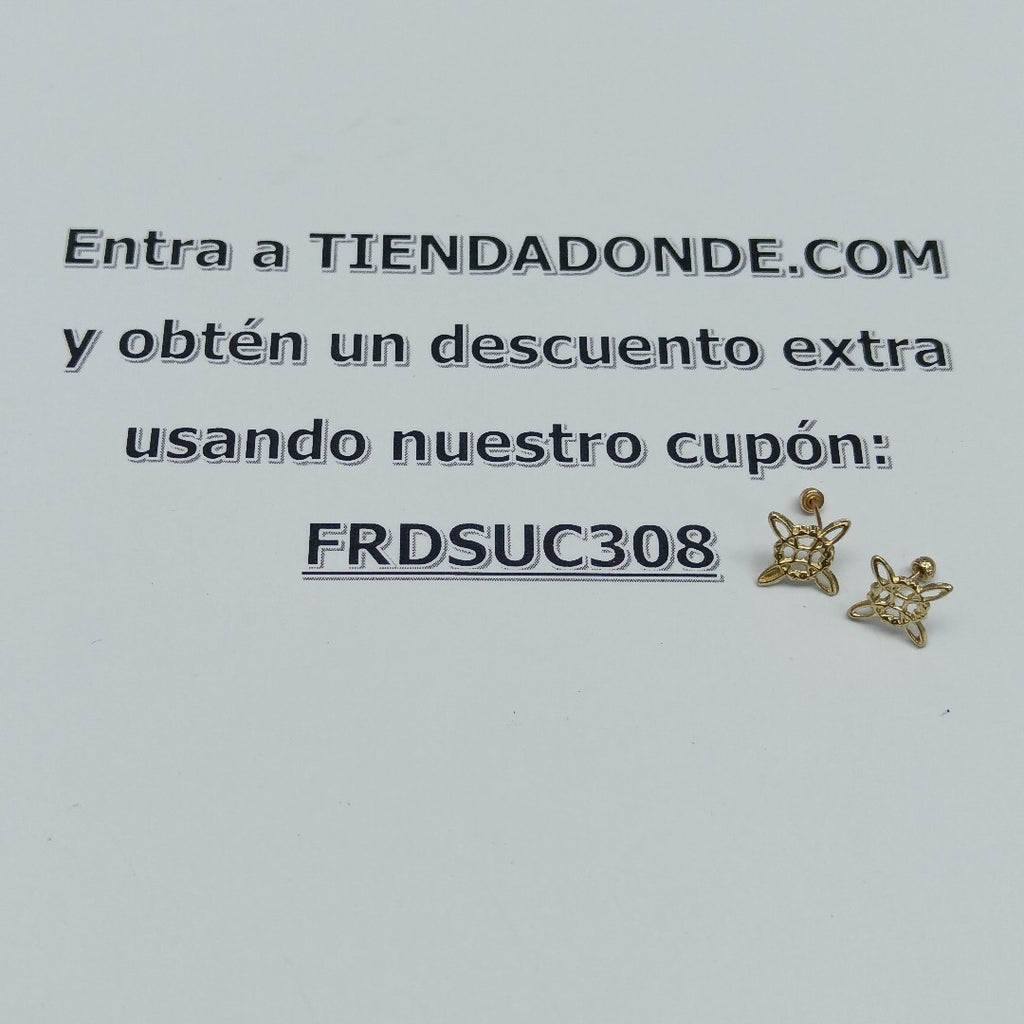 ARETES PAR ORO 10 K 0.2 GRMS (SEMINUEVO)