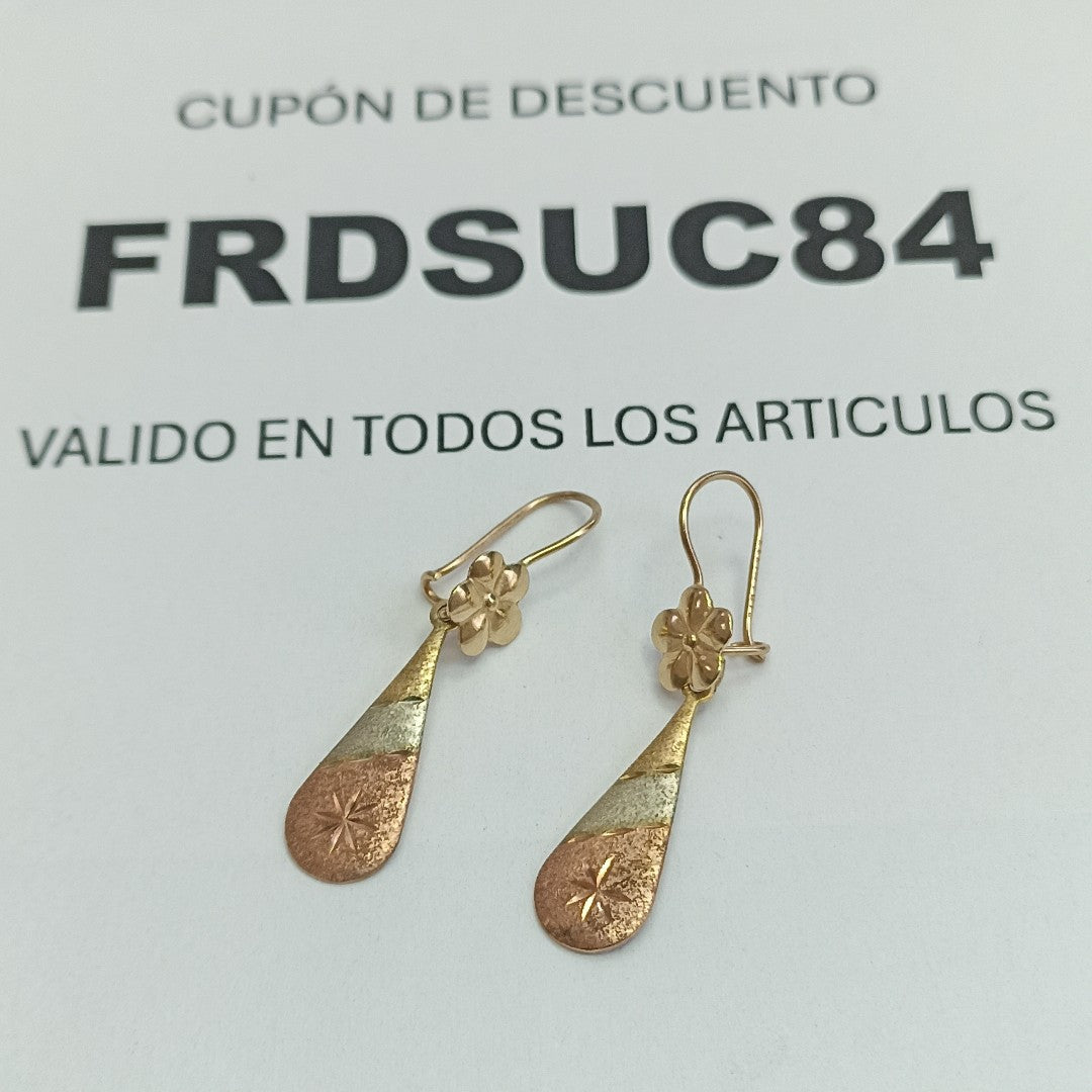 ARETES PAR ORO 10 K 1.4 GRMS (SEMINUEVO)
