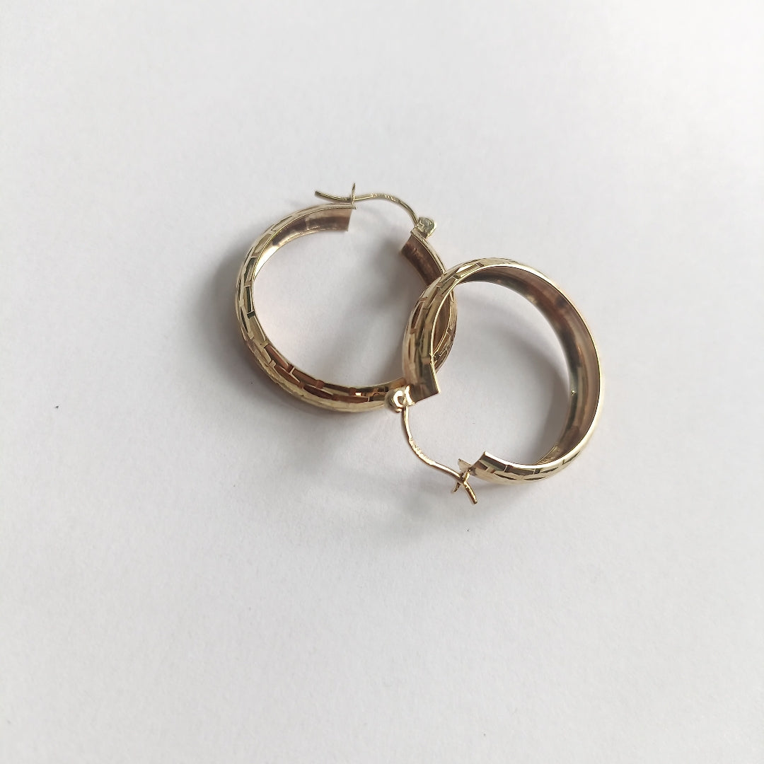 ARRACADAS PAR ORO 10 K 3.3 GRMS (SEMINUEVO)