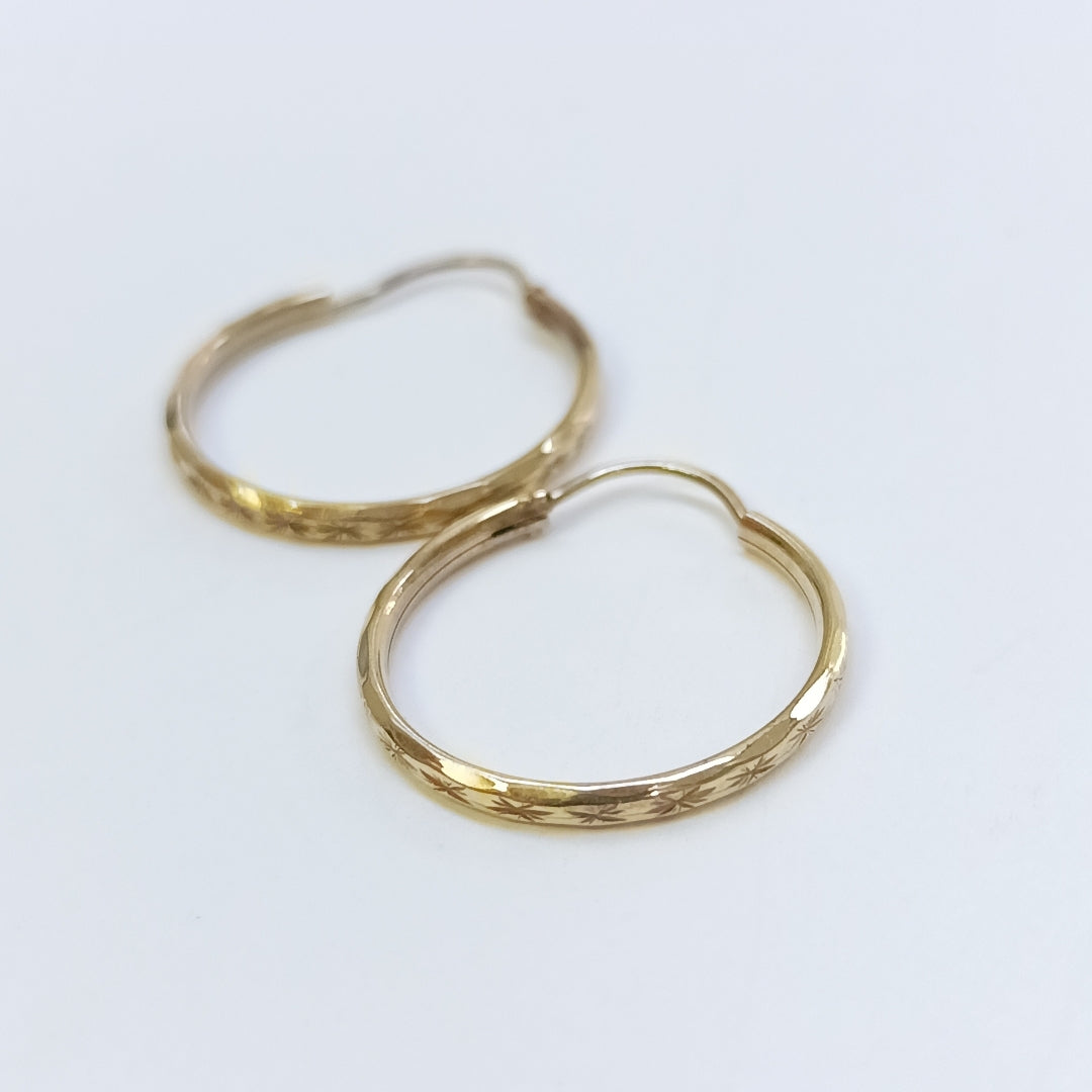 ARRACADAS PAR ORO 10 K 1,60 GRMS (SEMINUEVO)