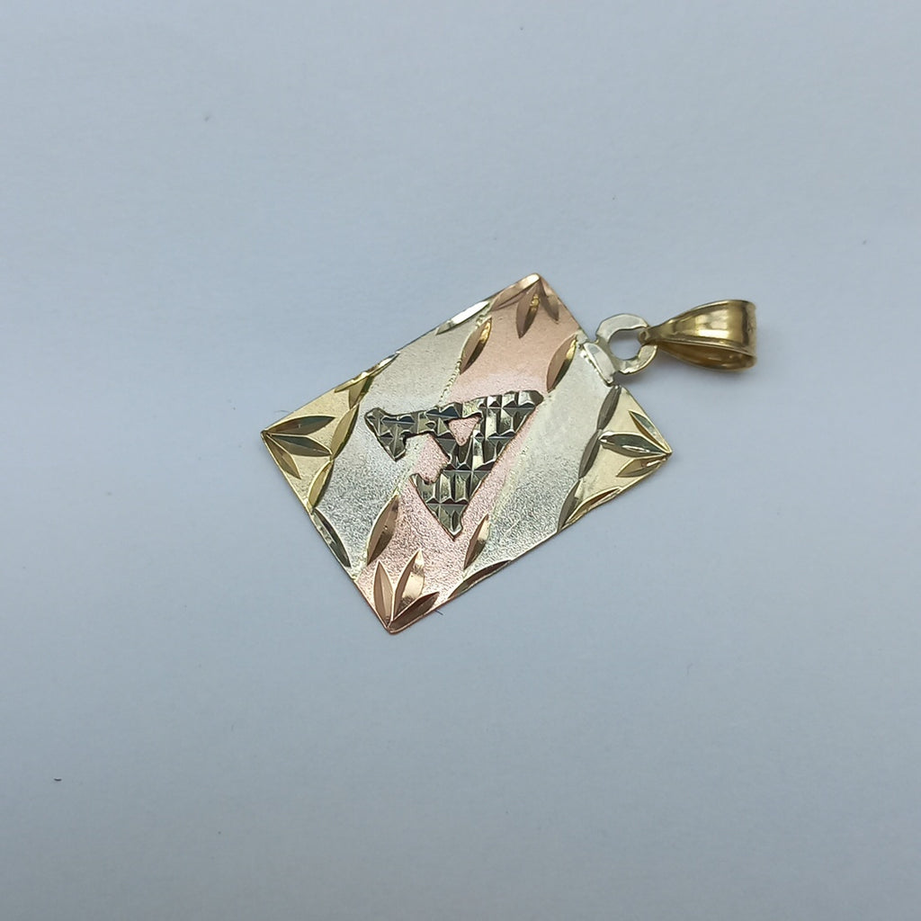 DIJE ORO 14 K 1.5 GRMS (SEMINUEVO)