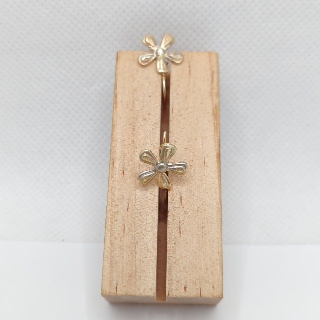 ARETES PAR ORO 10 K 0.6 GRMS (SEMINUEVO)