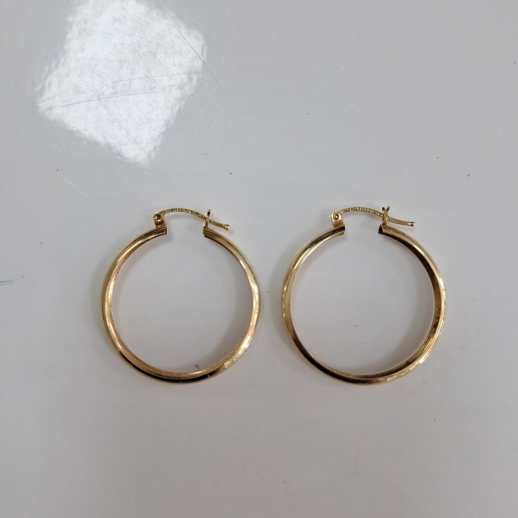 ARRACADAS PAR ORO 10 K 2,90 GRMS (SEMINUEVO)
