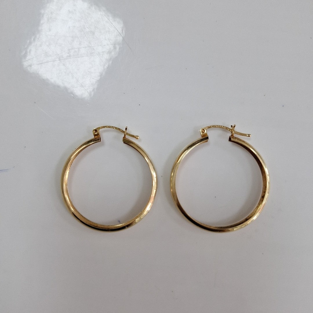 ARRACADAS PAR ORO 10 K 2,90 GRMS (SEMINUEVO)