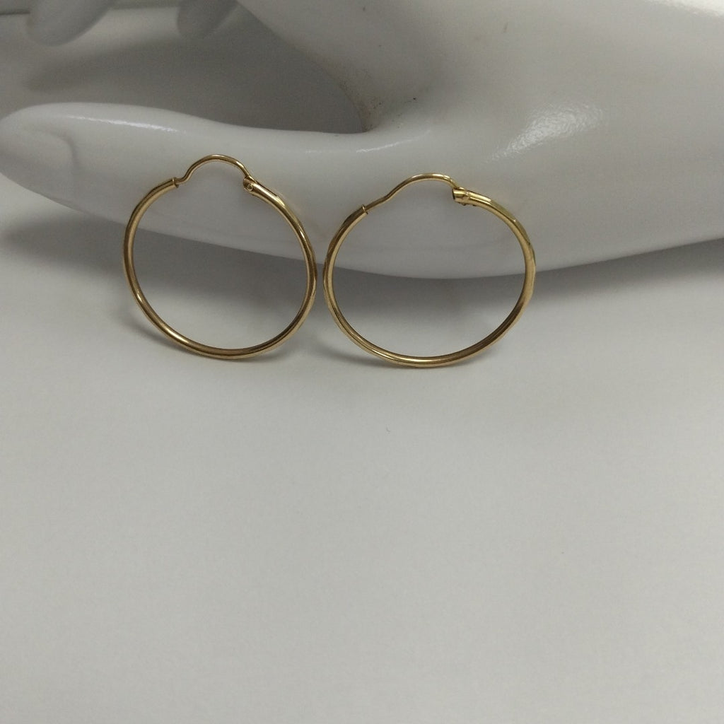 ARRACADAS PAR ORO 10 K 1.4 GRMS (SEMINUEVO)