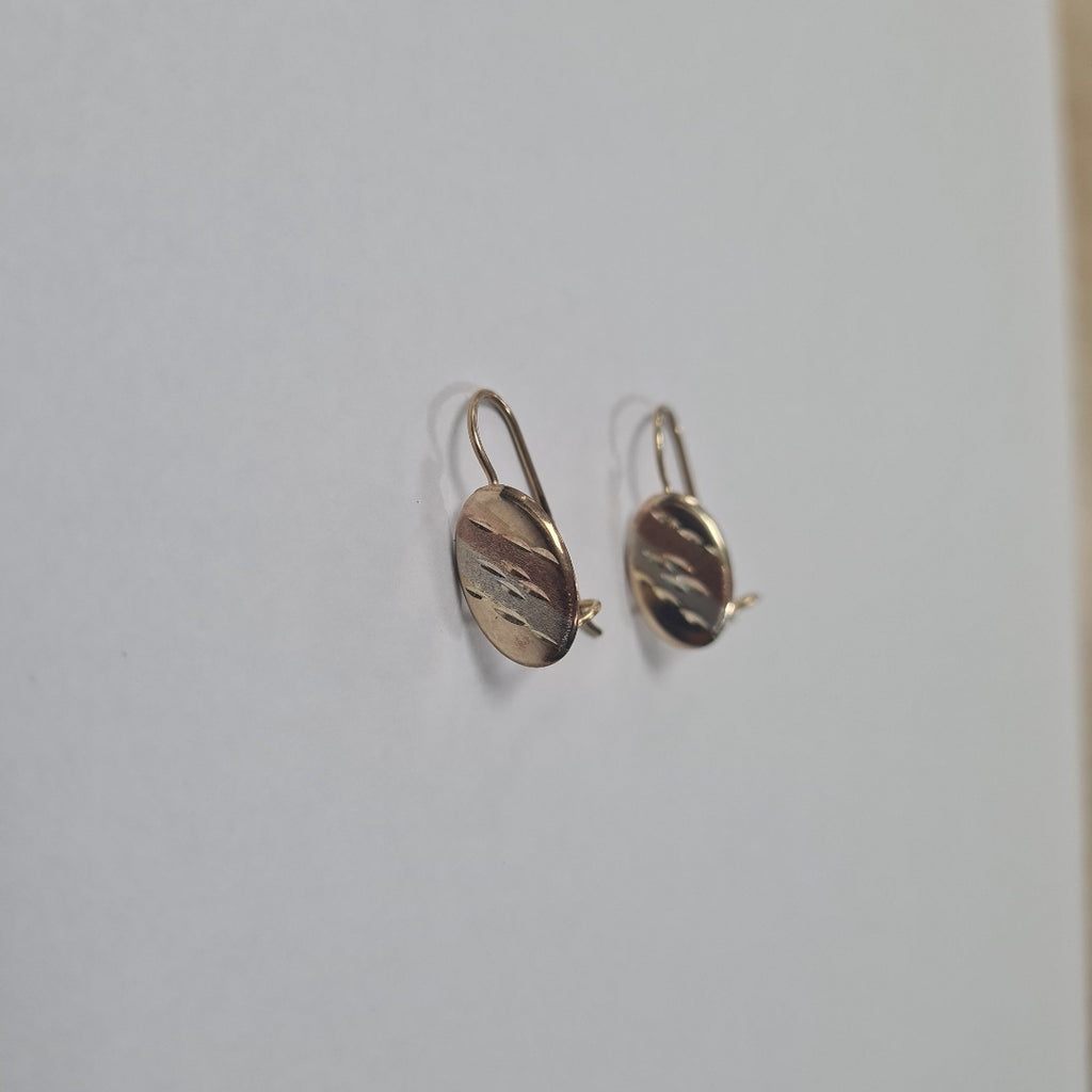 ARETES PAR ORO 10 K 1 GRMS (SEMINUEVO)