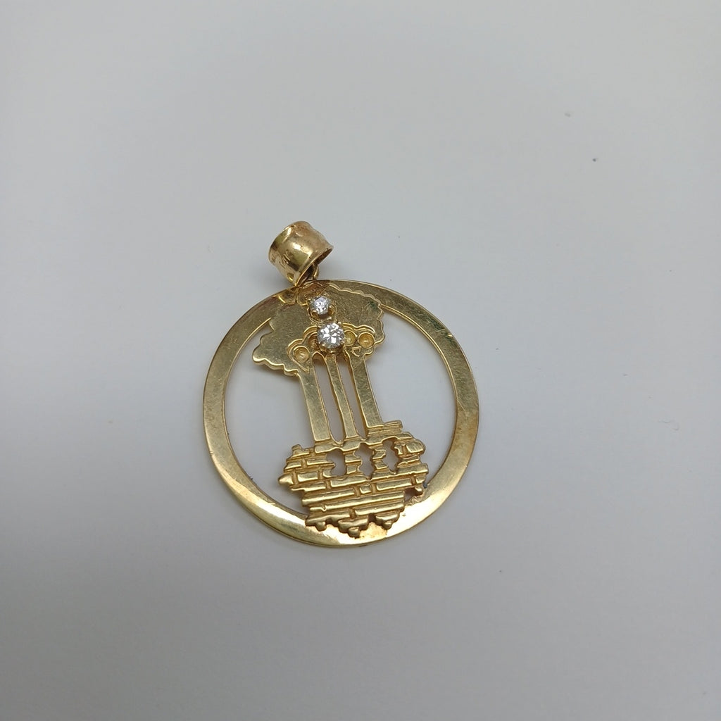 DIJE ORO 14 K 6.9 GRMS (SEMINUEVO)