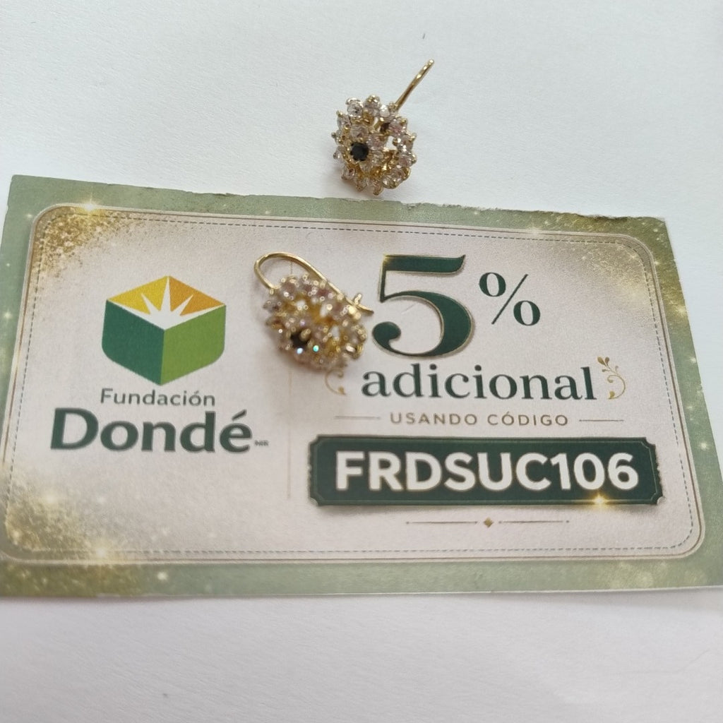 ARETES PAR ORO 10 K 3.4 GRMS (SEMINUEVO)