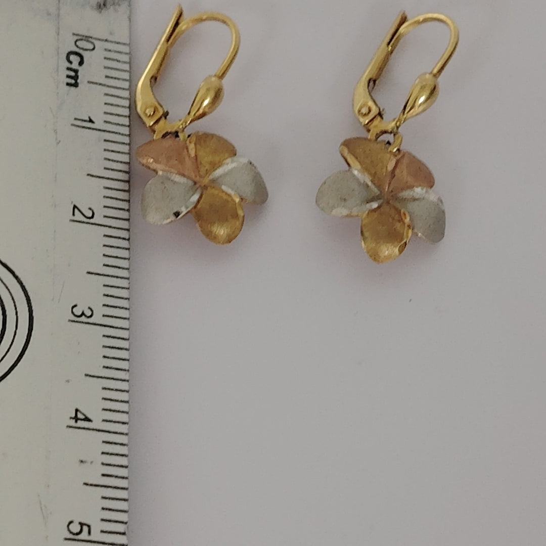 ARETES PAR ORO 10 K 1.6 GRMS (SEMINUEVO)