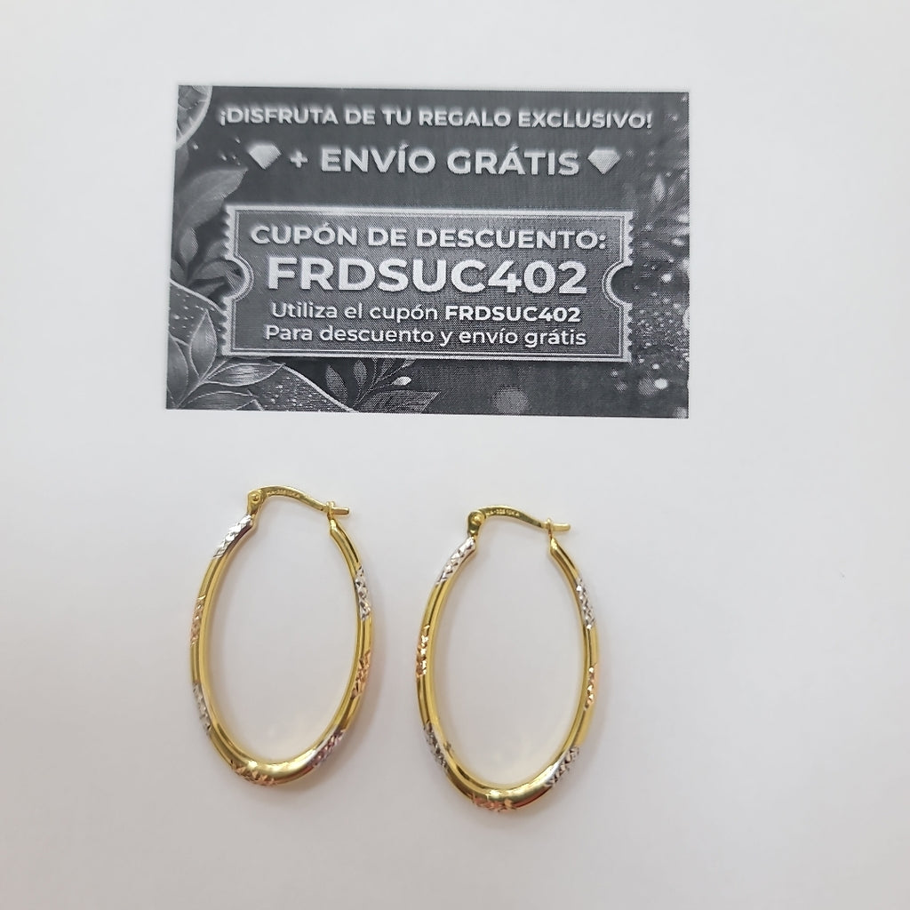 ARRACADAS ORO 10K 2.4 (NUEVO)