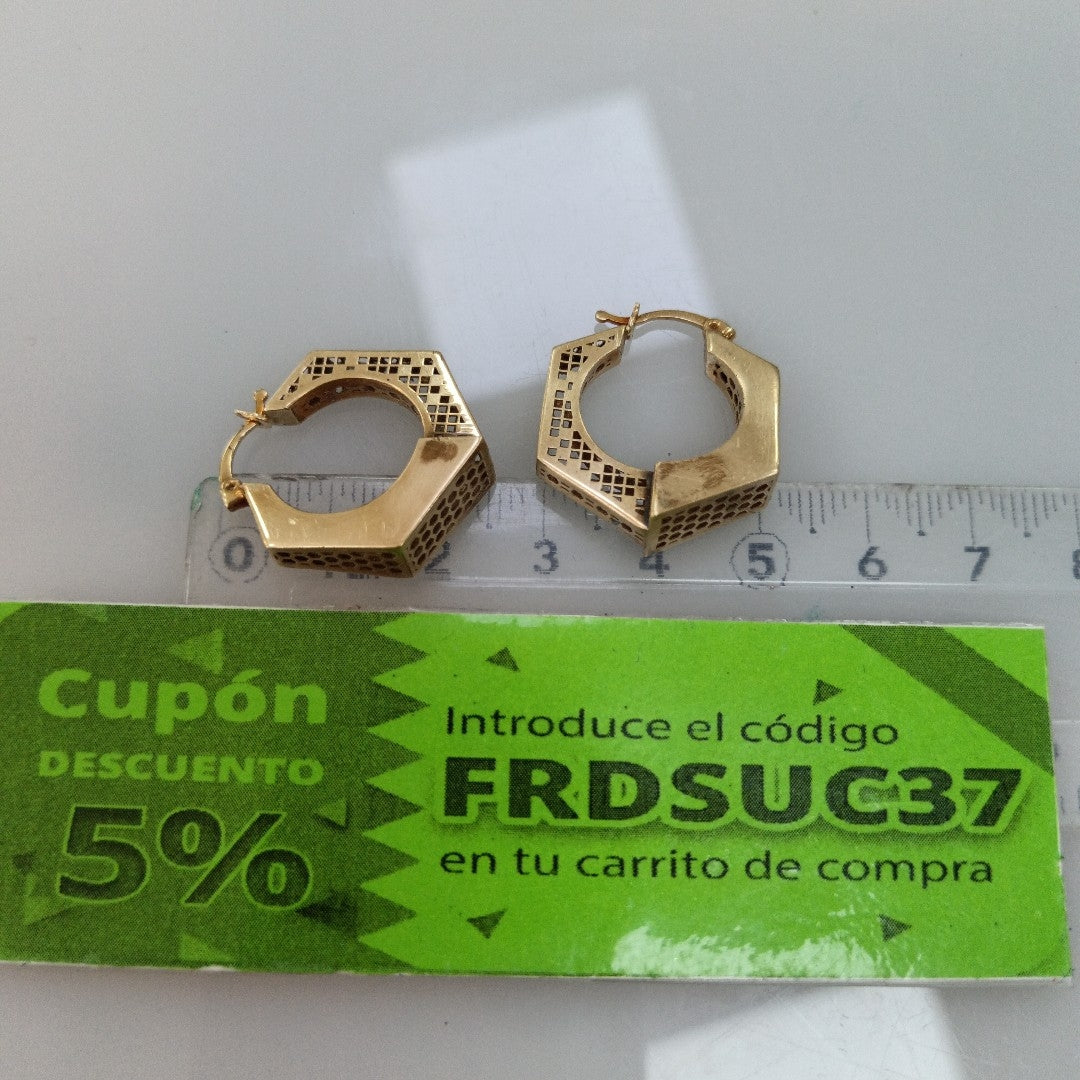 ARRACADAS PAR ORO 10 K 3.4 GRMS (SEMINUEVO)