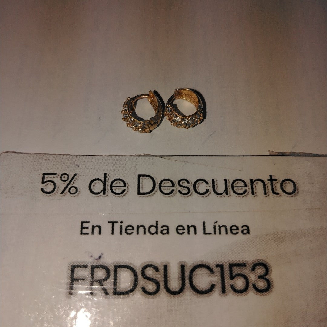 ARETES PAR ORO 10 K 2,10 GRMS (SEMINUEVO)