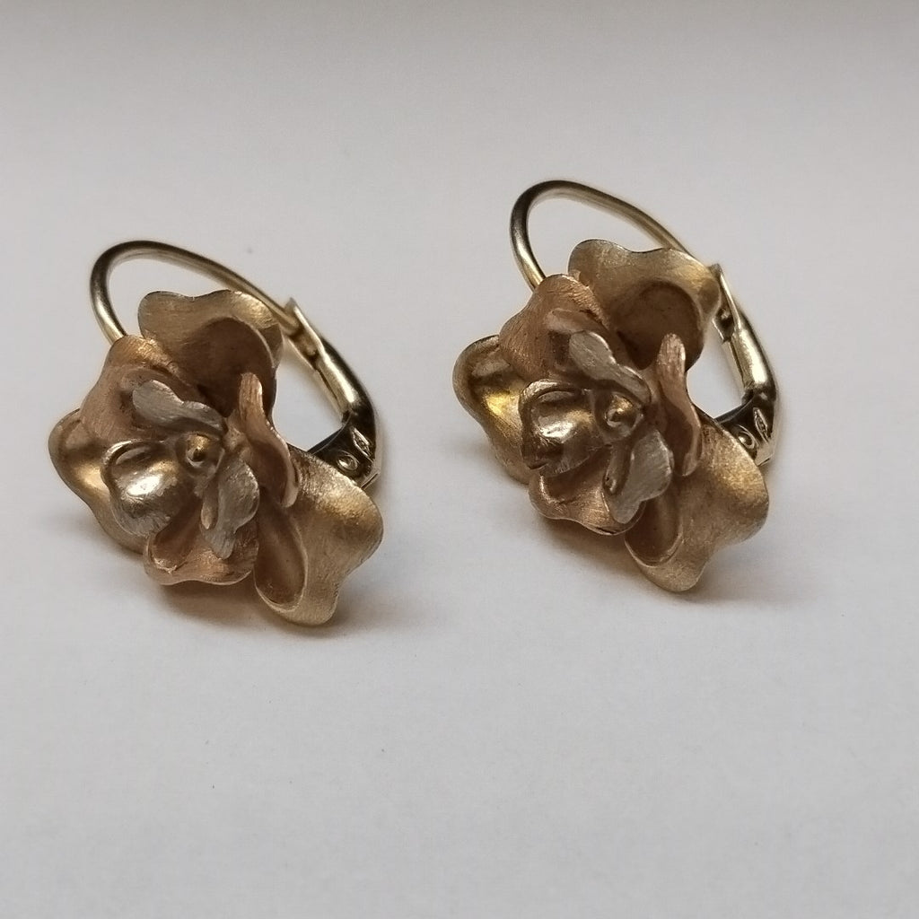 ARETES PAR ORO 10 K 3,30 GRMS (SEMINUEVO)