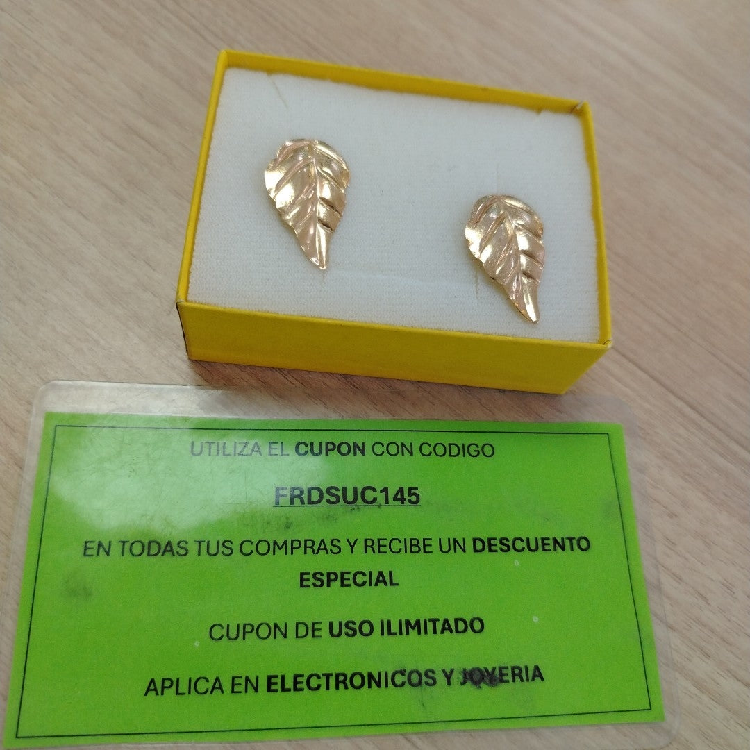 ARETES PAR ORO 10 K 1.3 GRMS (SEMINUEVO)