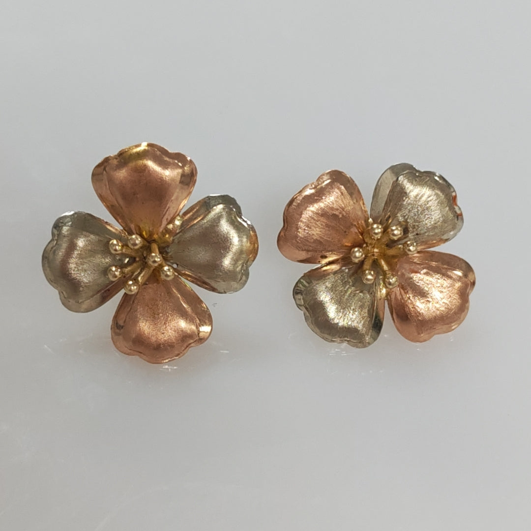 ARETES PAR ORO 10 K 2.9 GRMS (SEMINUEVO)