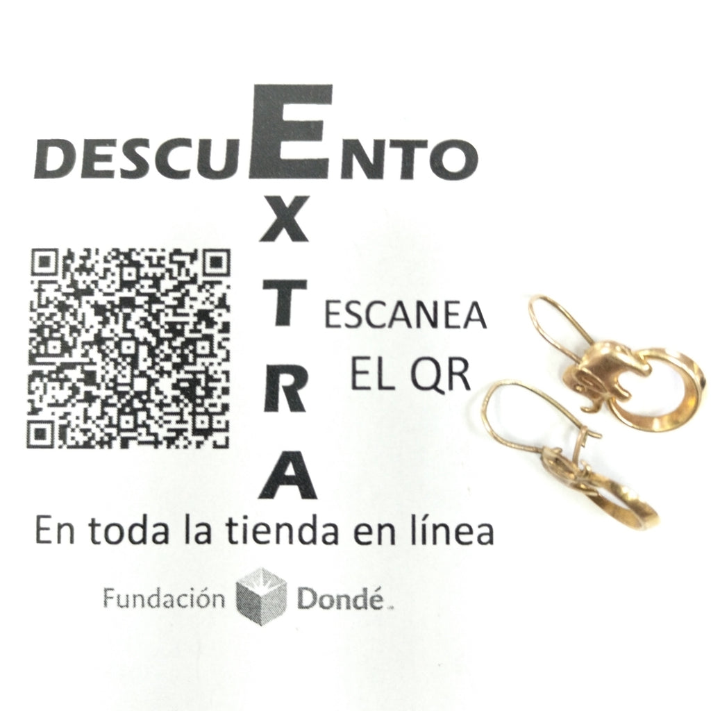ARETES PAR ORO 10 K 1 GRMS (SEMINUEVO)