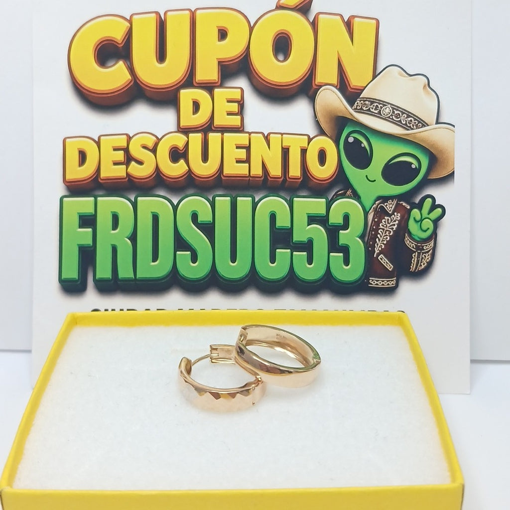 ARRACADAS PAR ORO 14 K 2.1 GRMS (SEMINUEVO)