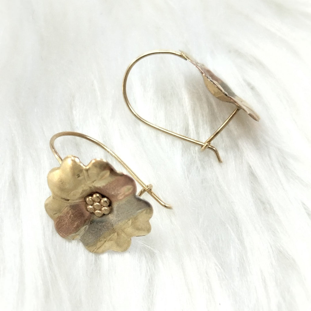 ARETES PAR ORO 10 K 1.1 GRMS (SEMINUEVO)