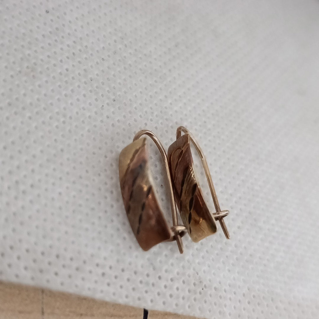 ARETES PAR ORO 10 K 1,00 GRMS (SEMINUEVO)