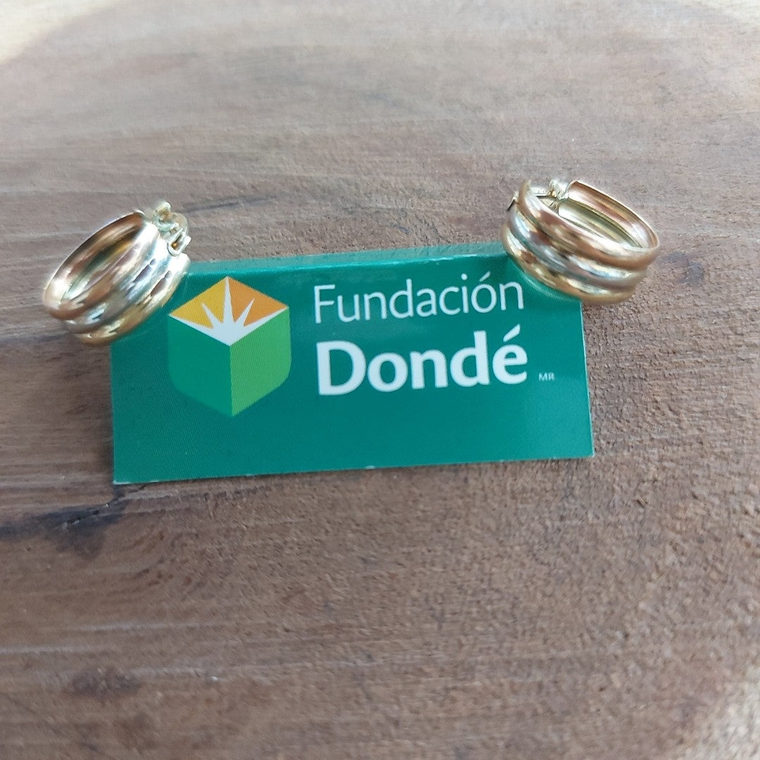 ARRACADAS PAR ORO 10 K 1.1 GRMS (SEMINUEVO)