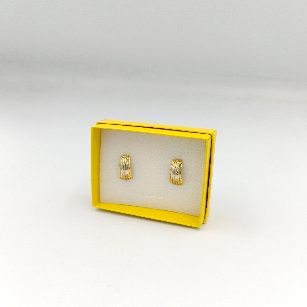ARETES PAR ORO 10 K 2.3 GRMS (SEMINUEVO)