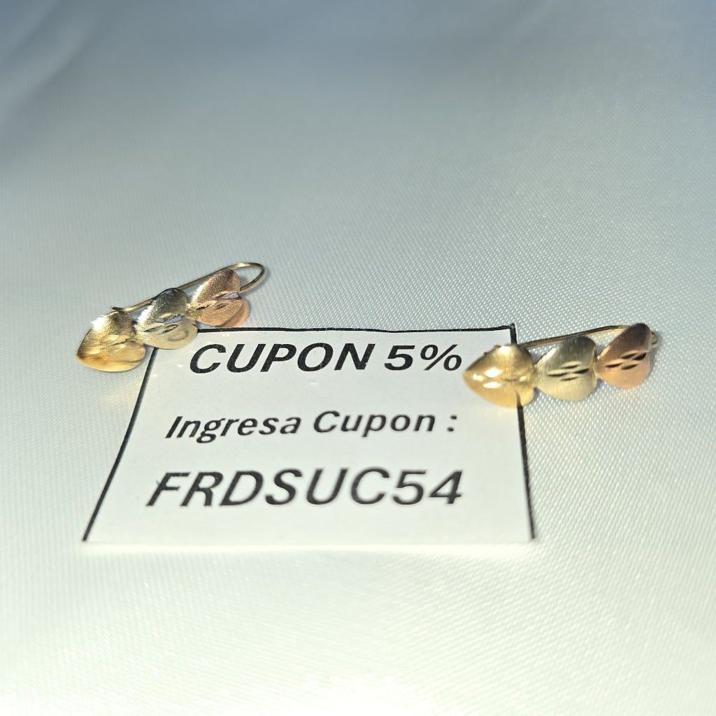 ARETES PAR ORO COMBINADO 10 K 1,20 GRMS (SEMINUEVO)