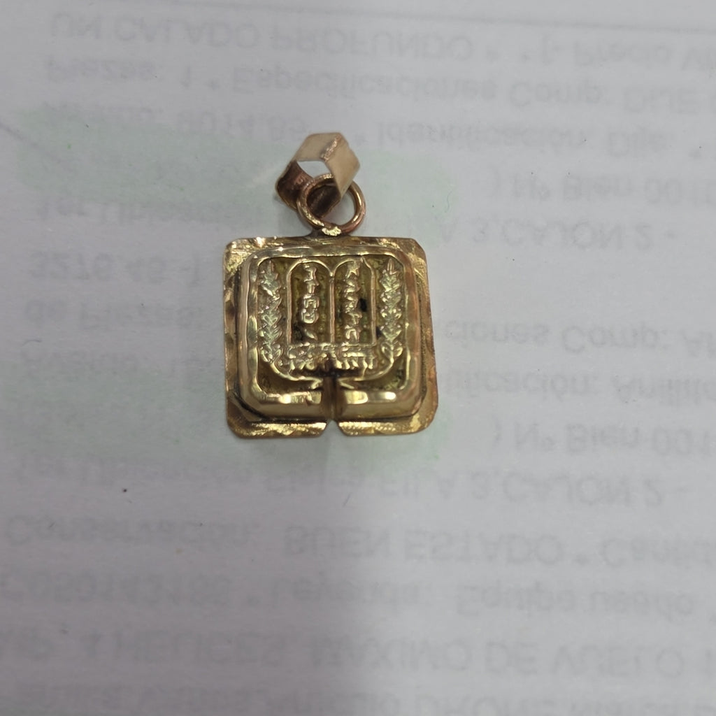 DIJE ORO 14 K 6.7 GRMS (SEMINUEVO)