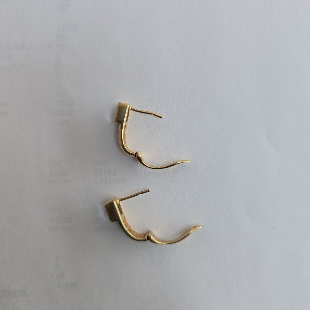 ARETES PAR ORO 14 K 5.9 GRMS (SEMINUEVO)
