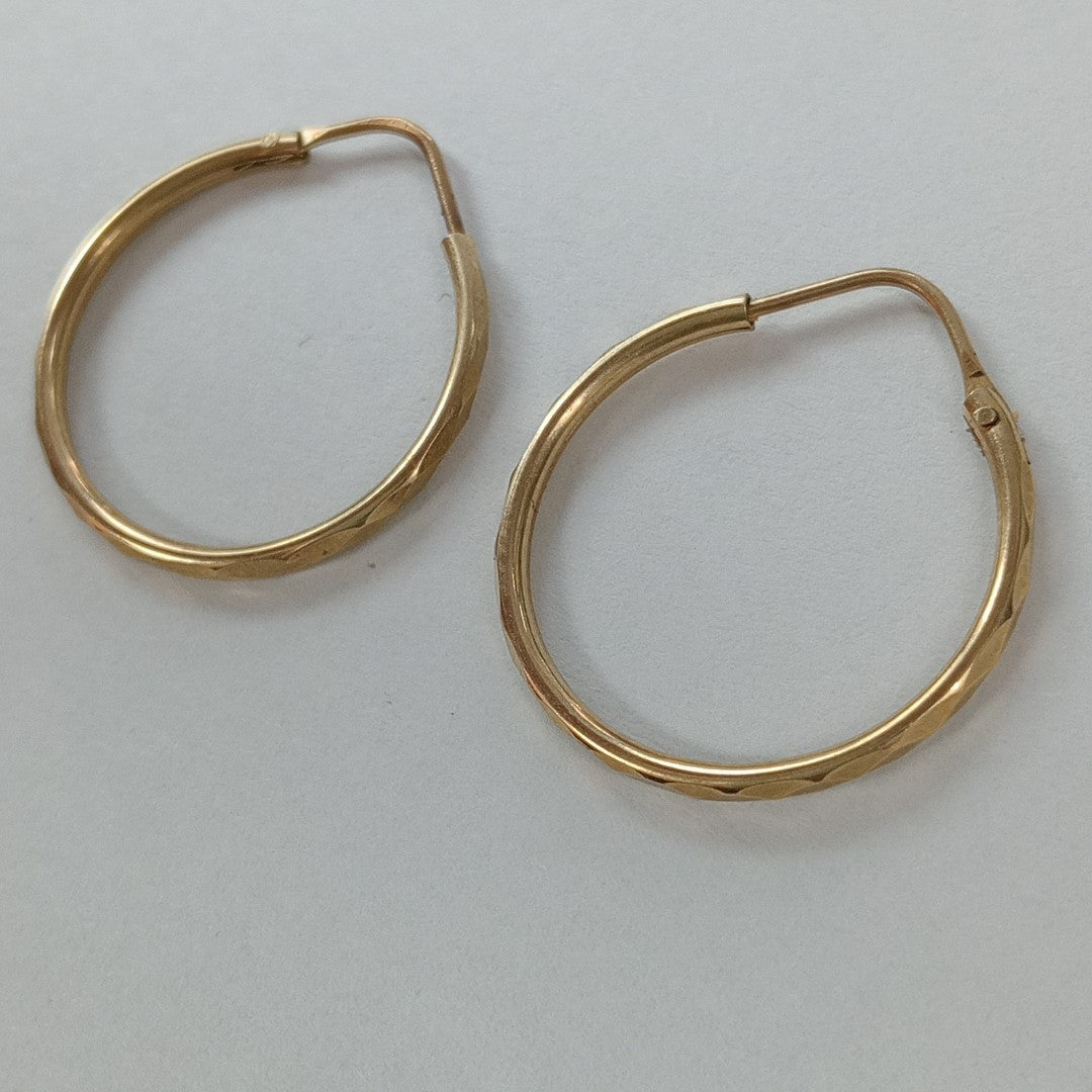 ARRACADAS PAR ORO 10 K 1.1 GRMS (SEMINUEVO)