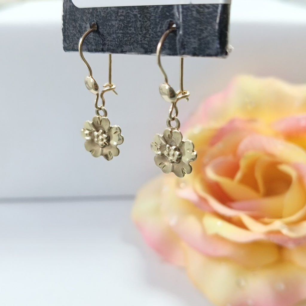 ARETES PAR ORO 10 K 1,20 GRMS (SEMINUEVO)