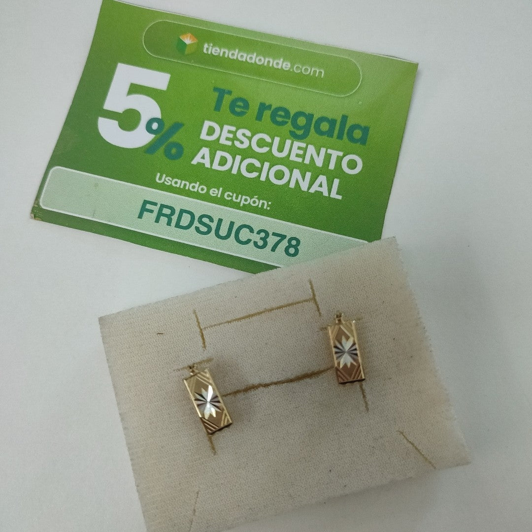 ARRACADAS PAR ORO 10 K 2.5 GRMS (SEMINUEVO)