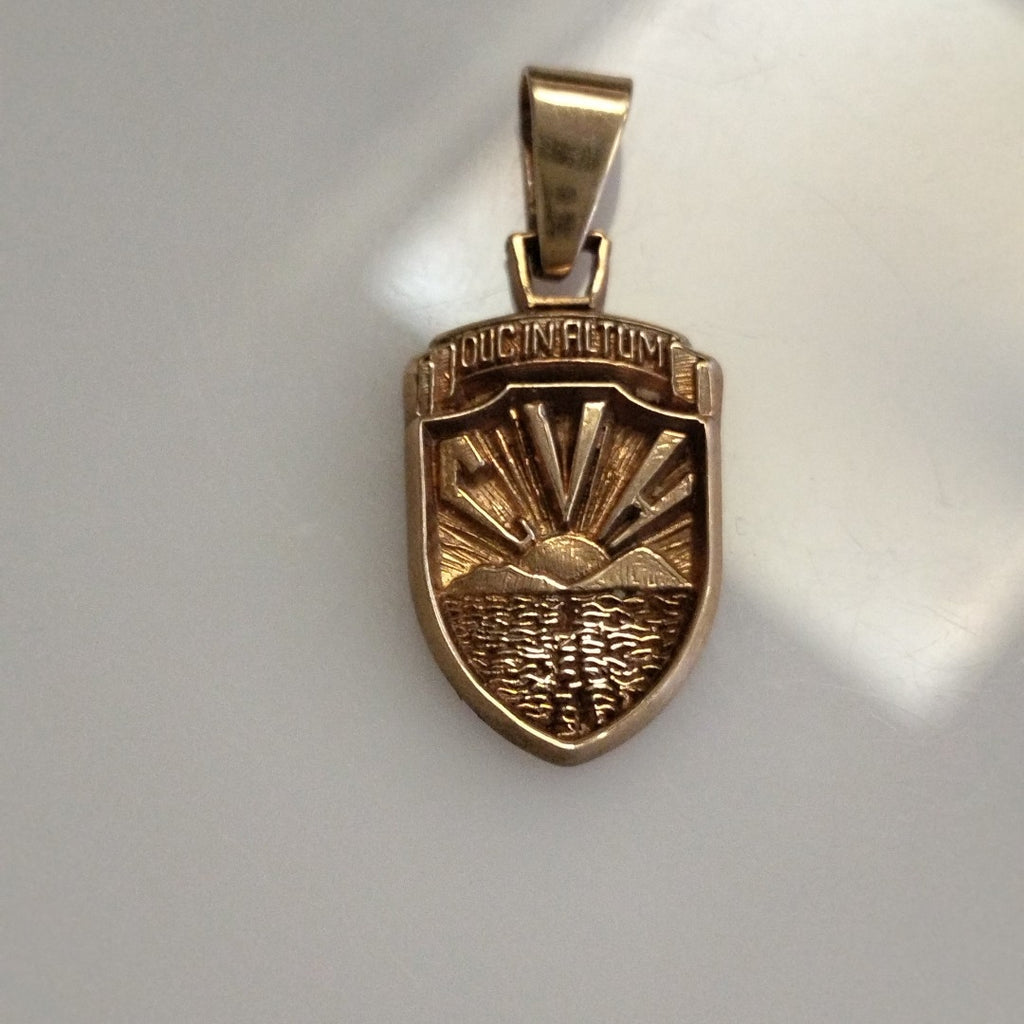 DIJE ORO 10 K 4.1 GRMS (SEMINUEVO)