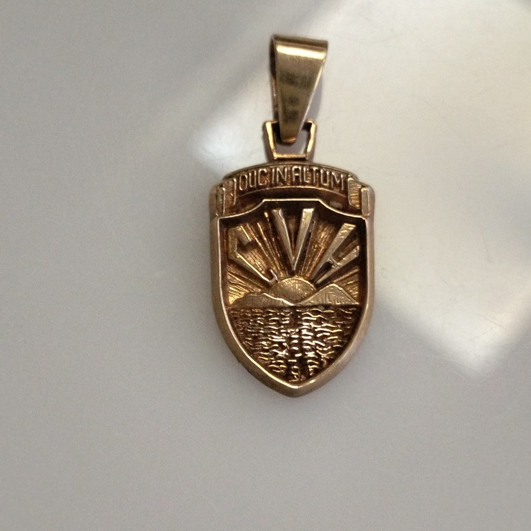DIJE ORO 10 K 4.1 GRMS (SEMINUEVO)