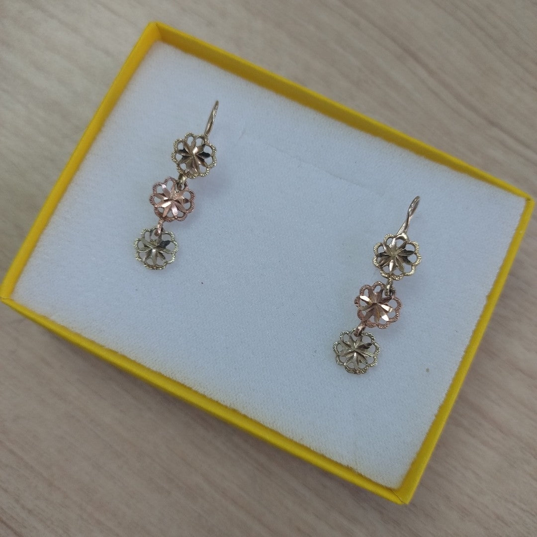 ARETES PAR ORO 10 K 1,80 GRMS (SEMINUEVO)