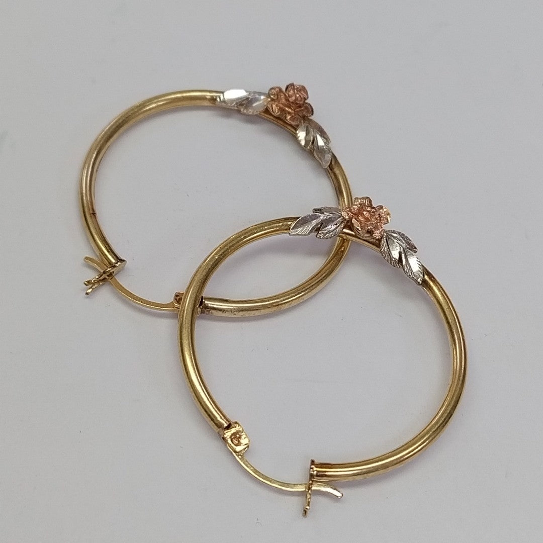 ARRACADAS PAR ORO 10 K 4,00 GRMS (SEMINUEVO)