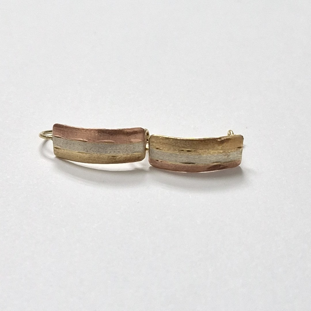 ARETES PAR ORO 10 K 1.1 GRMS (SEMINUEVO)