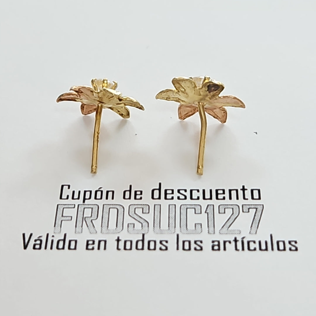BROQUELES PAR ORO 14 K 1.1 GRMS (SEMINUEVO)