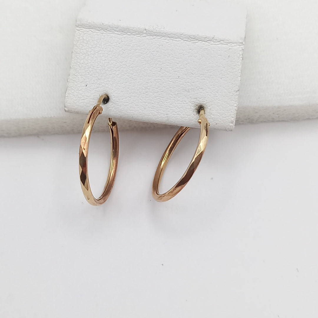 ARETES PAR ORO 10 K 0.9 GRMS (SEMINUEVO)