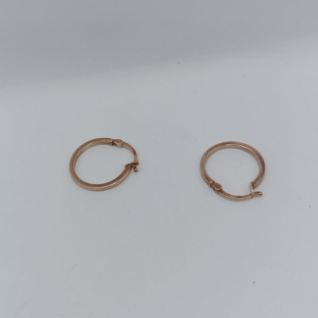 ARETES PAR ORO 10 K 1.1 GRMS (SEMINUEVO)