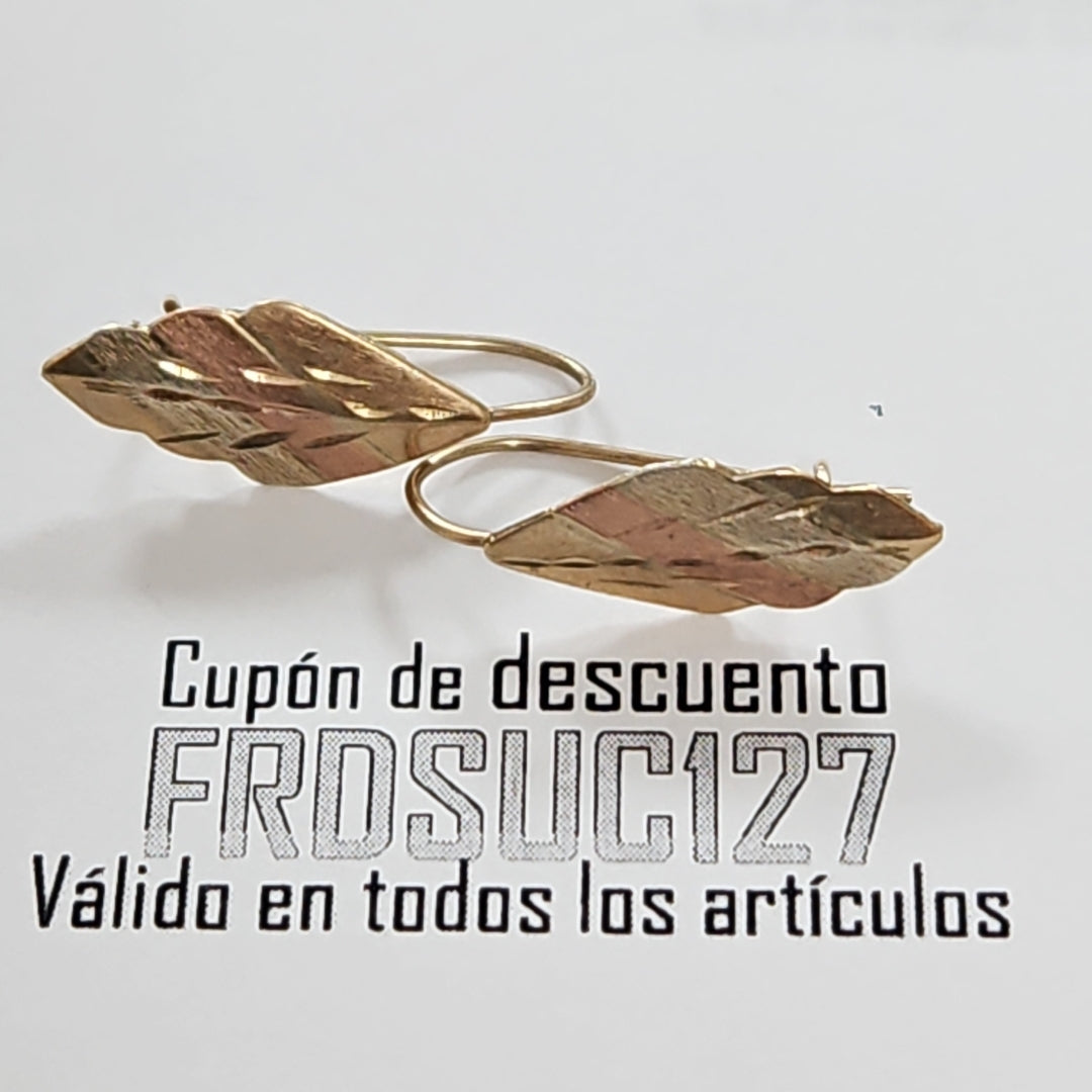 ARETES PAR ORO 10 K 0,90 GRMS (SEMINUEVO)