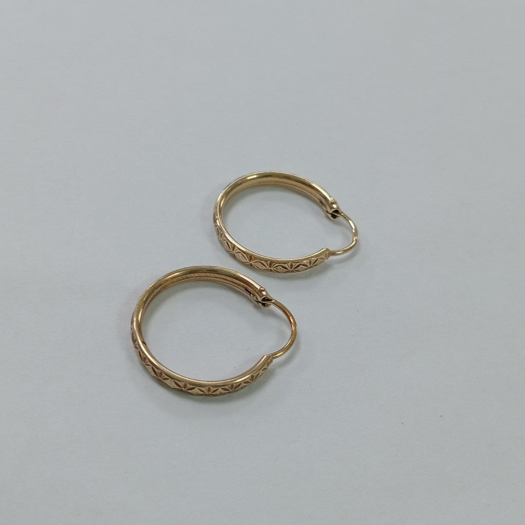 ARRACADAS PAR ORO 10 K 1.4 GRMS (SEMINUEVO)