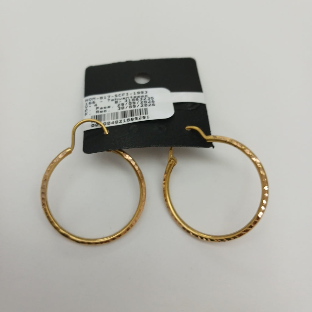ARRACADAS PAR ORO 10 K 3.1 GRMS (SEMINUEVO)