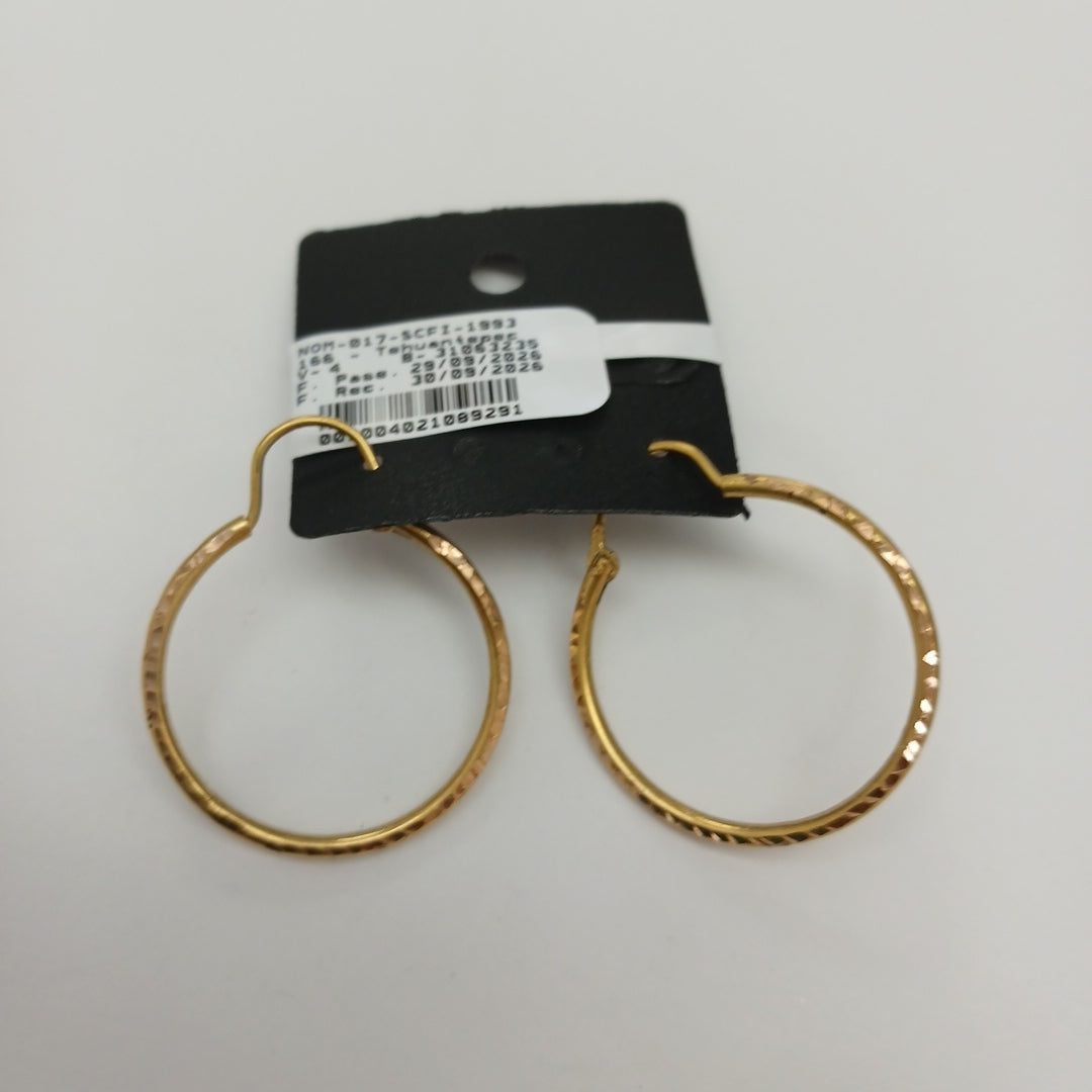 ARRACADAS PAR ORO 10 K 3.1 GRMS (SEMINUEVO)