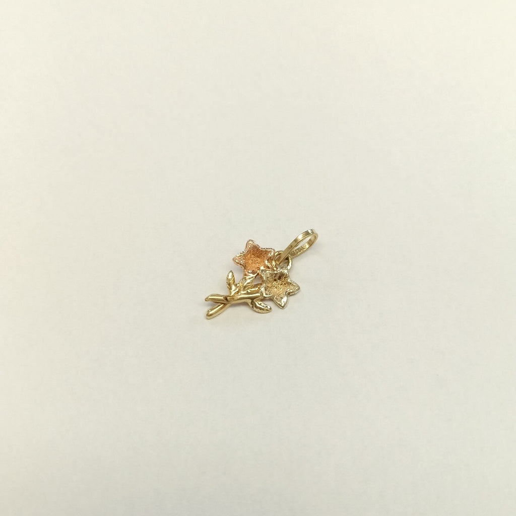 DIJE ORO, ORO COMBINADO 14 K 0.7 GRMS (SEMINUEVO)